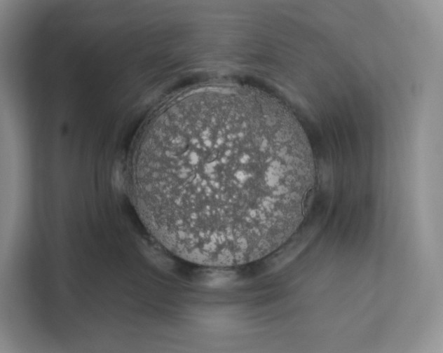 X0000111580719200907301405