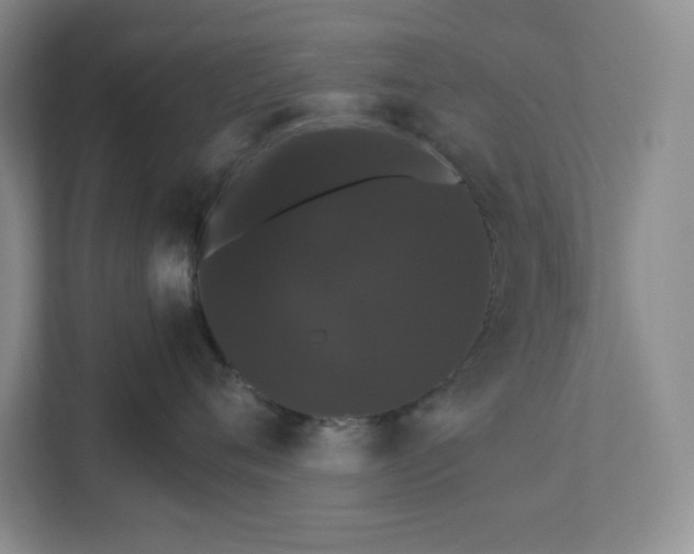 X0000111580720200907301405