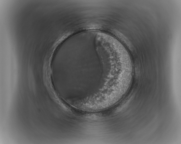 X0000111580721200907301404