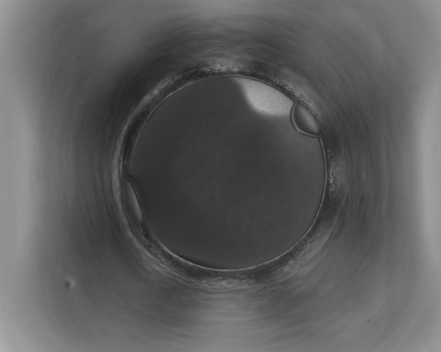 X0000111580722200907301404