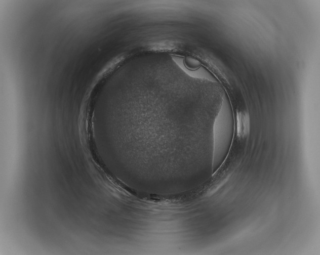 X0000111580723200907301404