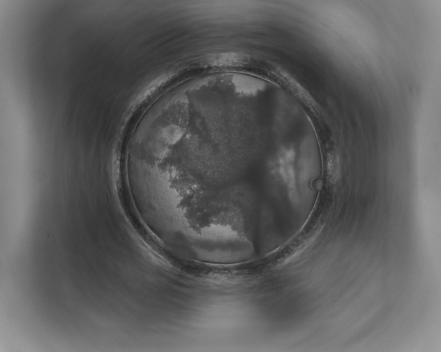 X0000111580725200907301404