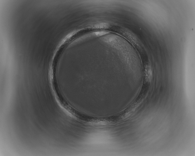 X0000111580726200907301404