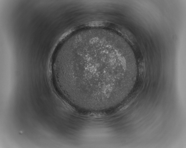 X0000111580727200907301404