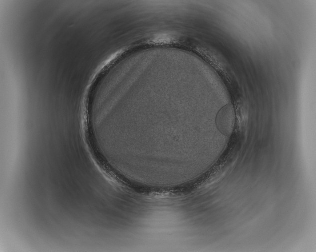 X0000111580728200907301404