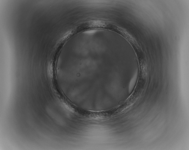 X0000111580729200907301404