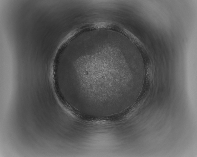 X0000111580730200907301404