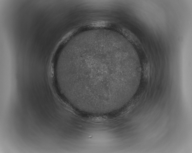 X0000111580731200907301404