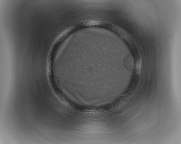 X0000111580732200907301404