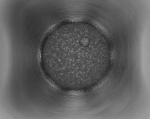 X0000111580733200907301404