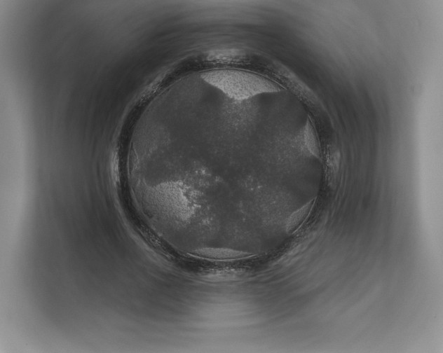 X0000111580734200907301404