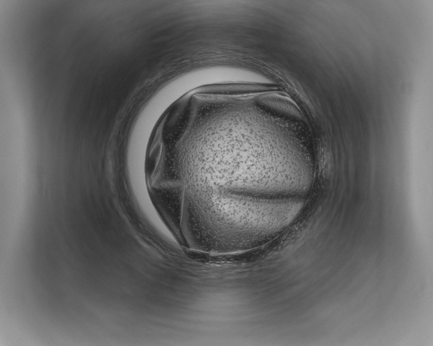 X0000111580736200907301404