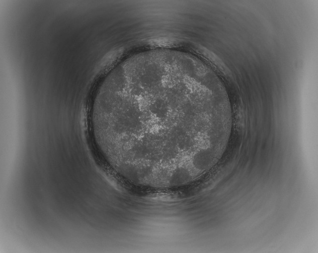 X0000111580738200907301404