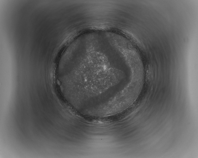 X0000111580739200907301404