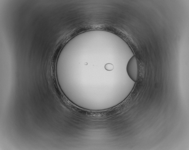 X0000111580740200907301404