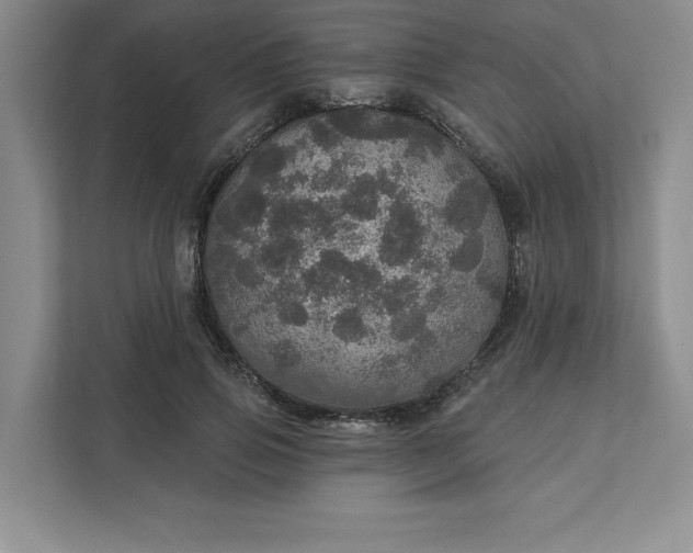 X0000111580741200907301404