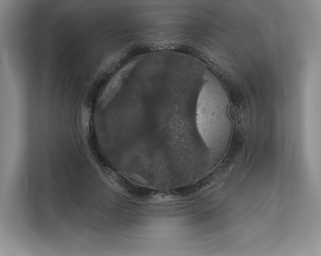 X0000111580742200907301404