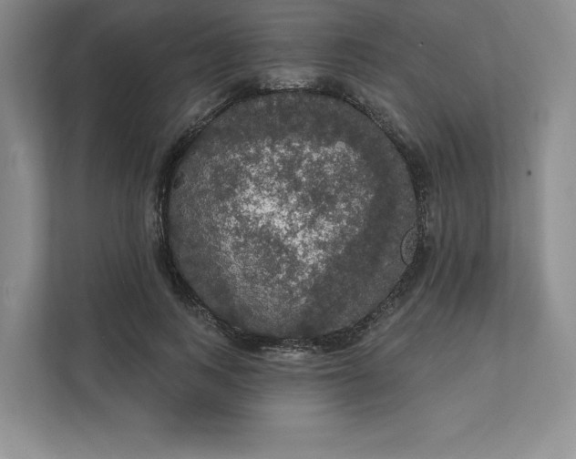 X0000111580743200907301404