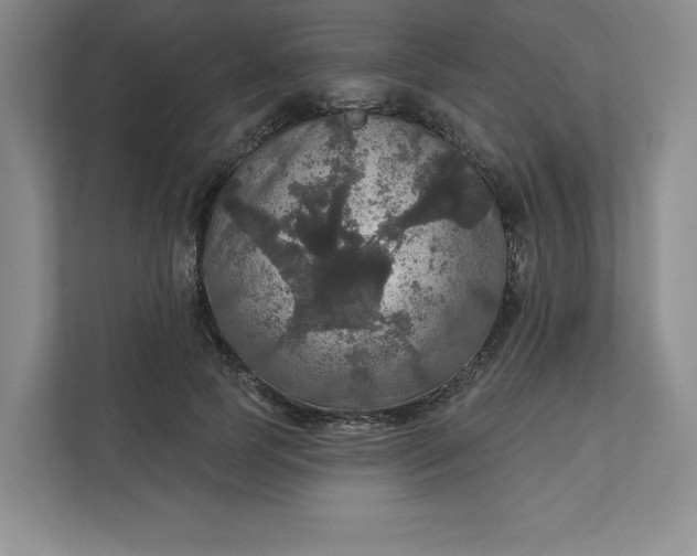 X0000111580745200907301404