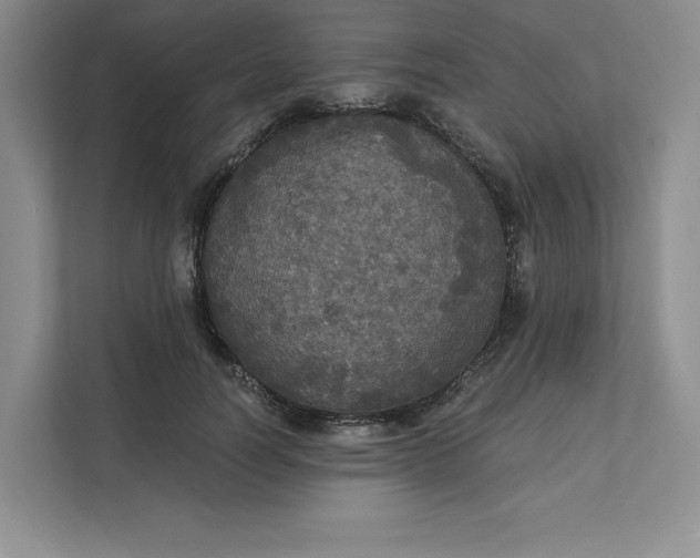 X0000111580746200907301405