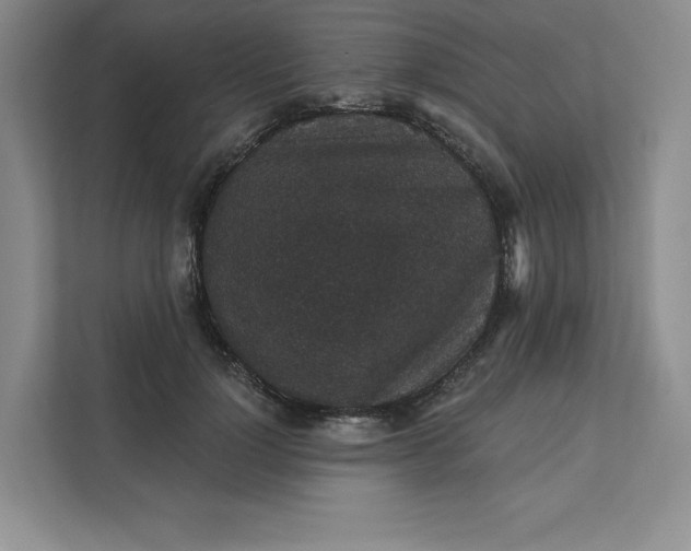 X0000111580748200907301405