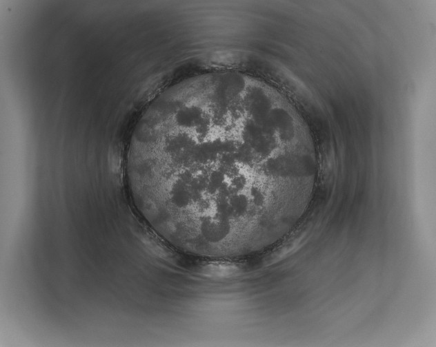 X0000111580749200907301405