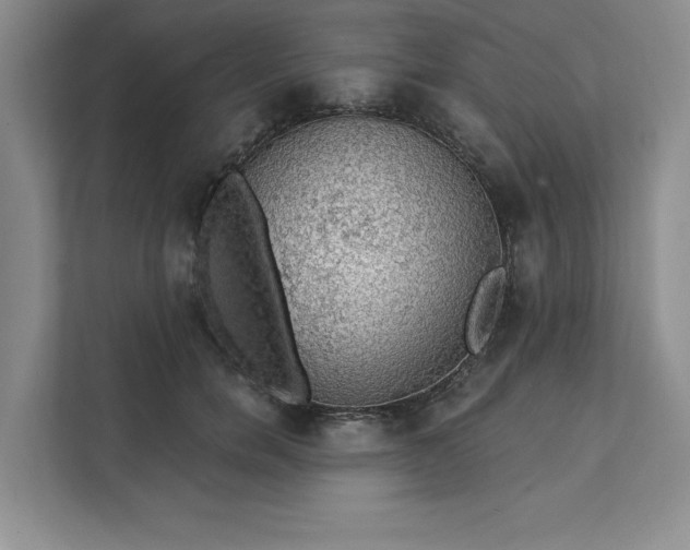 X0000111580750200907301405