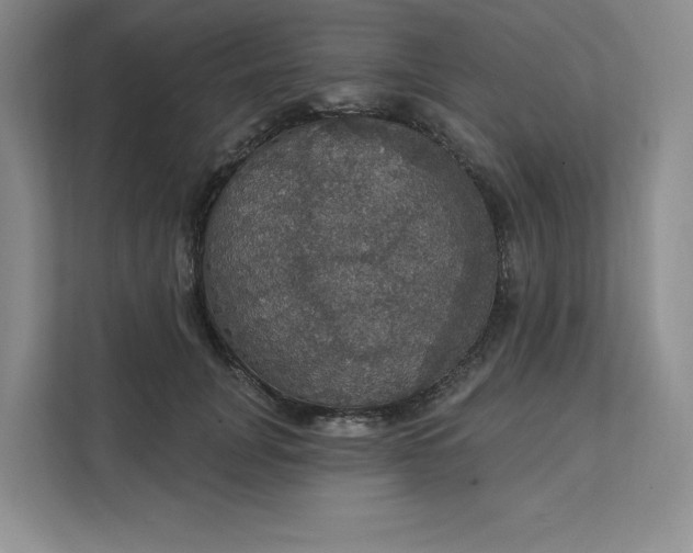 X0000111580751200907301405