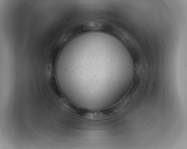 X0000111580752200907301405