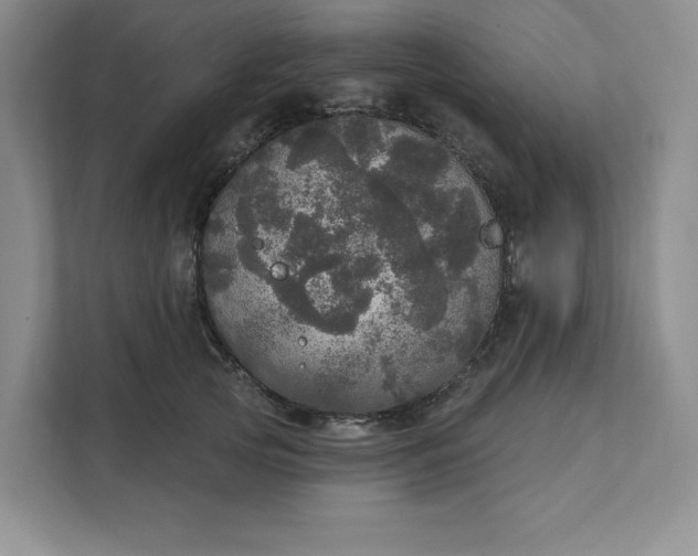 X0000111580753200907301405