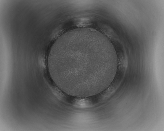 X0000111580755200907301405