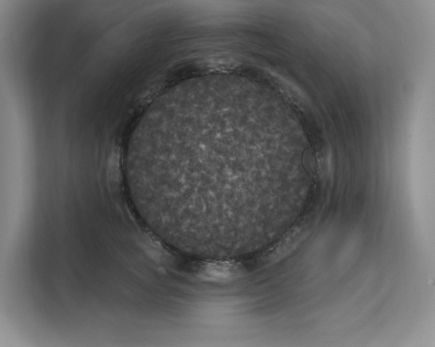 X0000111580757200907301405