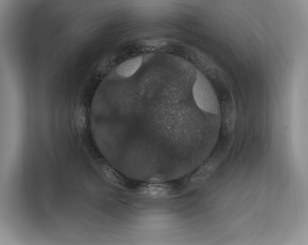 X0000111580758200907301405