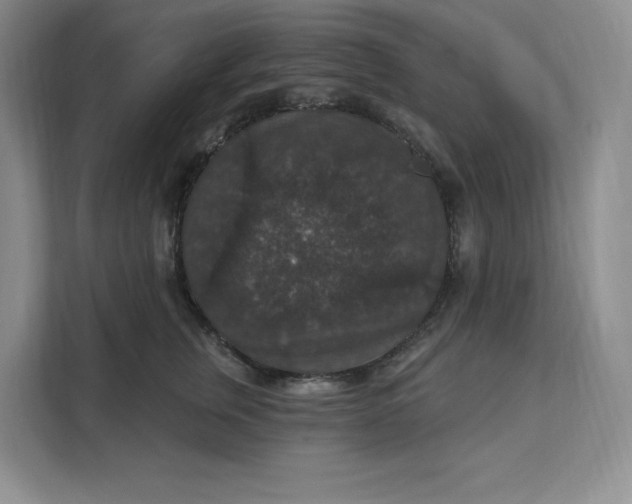 X0000111580759200907301405