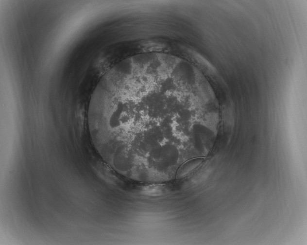 X0000111580761200907301405