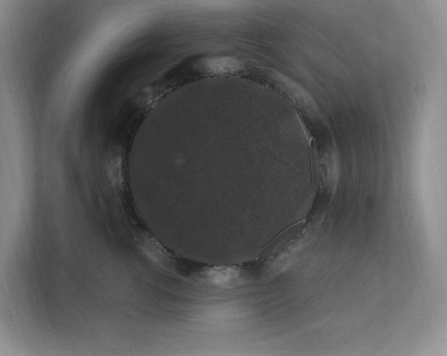 X0000111580762200907301405