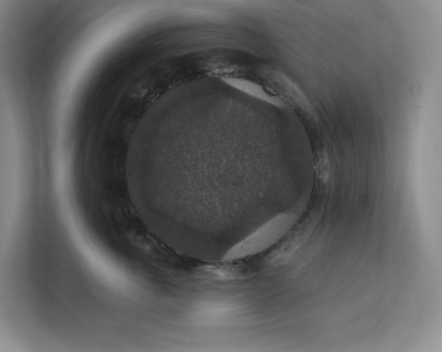 X0000111580763200907301405