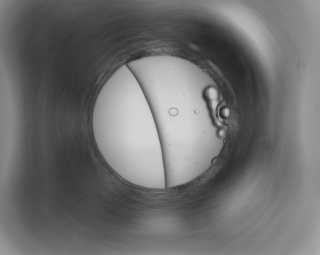 X0000111580767200907301405