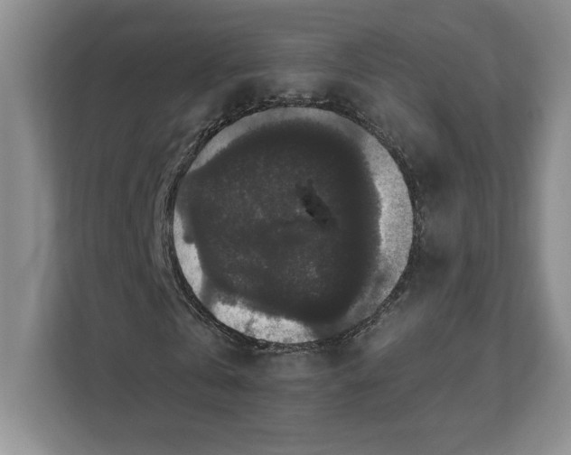 X0000111580769200907301404