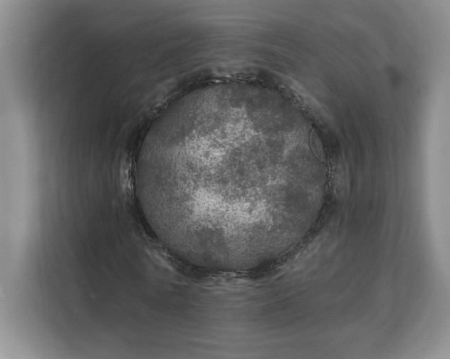 X0000111580770200907301404