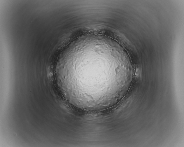 X0000111580771200907301404