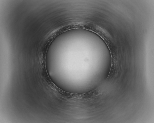 X0000111580773200907301404