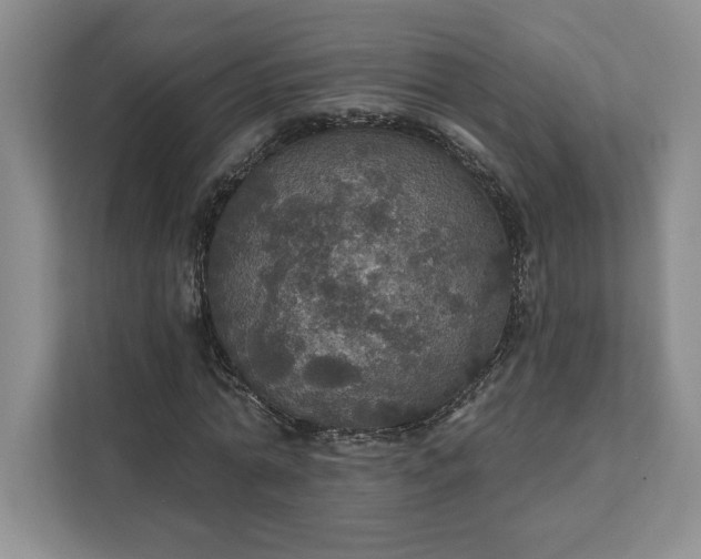 X0000111580774200907301404