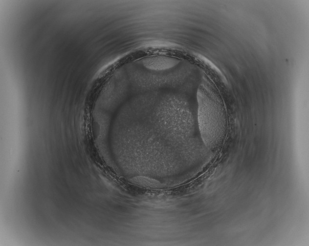 X0000111580775200907301404