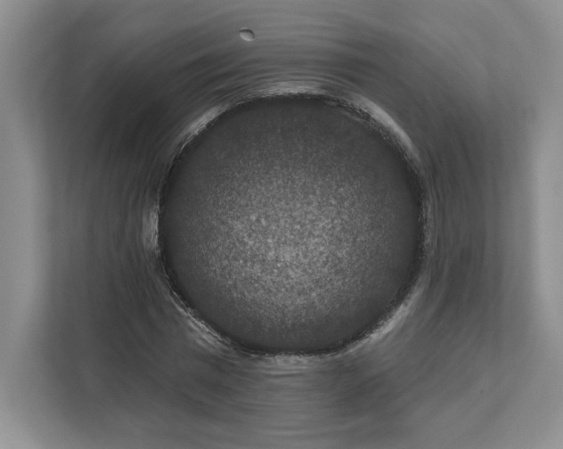 X0000111580777200907301404