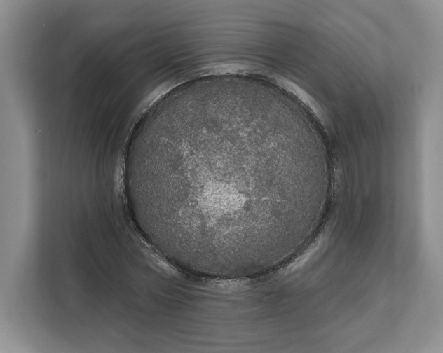 X0000111580778200907301404