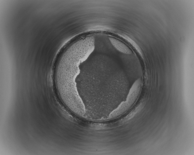 X0000111580783200907301404