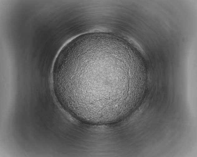 X0000111580784200907301404