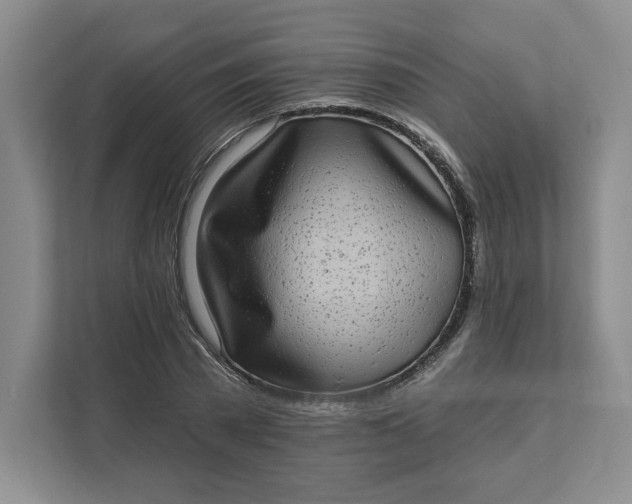 X0000111580785200907301404