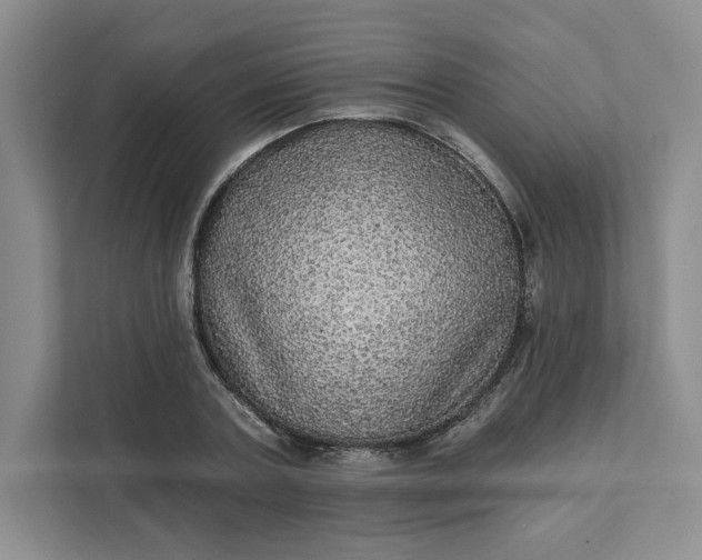 X0000111580787200907301404